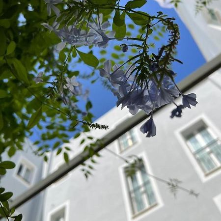 Hotel San Miguel Menorca Mahón Zewnętrze zdjęcie
