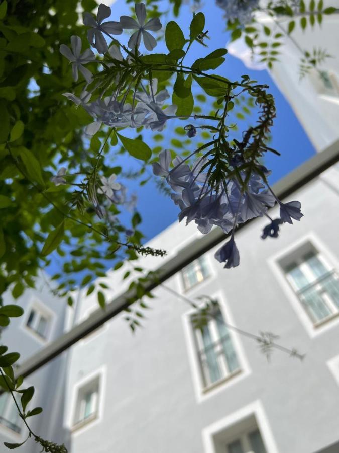 Hotel San Miguel Menorca Mahón Zewnętrze zdjęcie